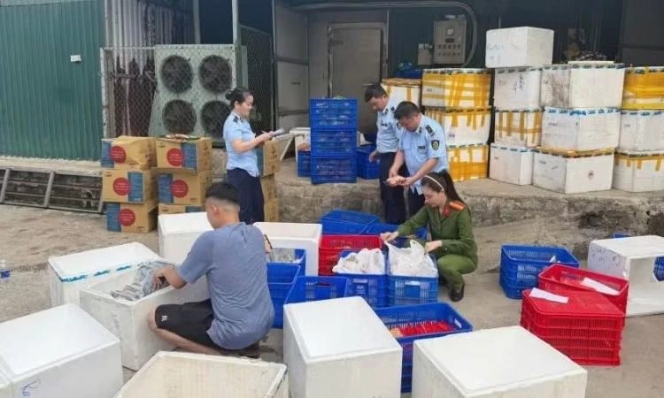 Khởi tố gi&aacute;m đốc doanh nghiệp sản xuất, bu&ocirc;n b&aacute;n thực phẩm giả