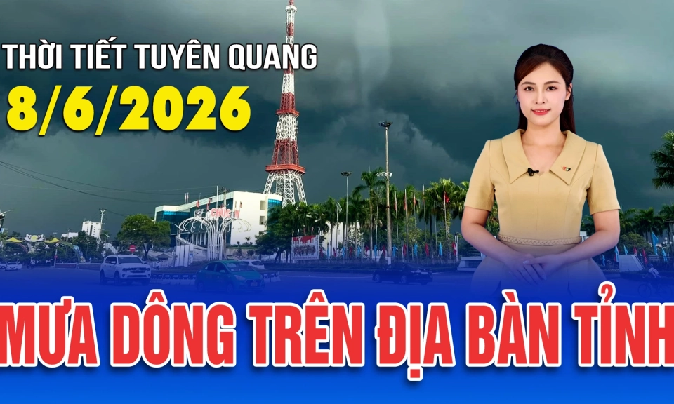 Thời tiết Tuy&ecirc;n Quang 8/6/2026