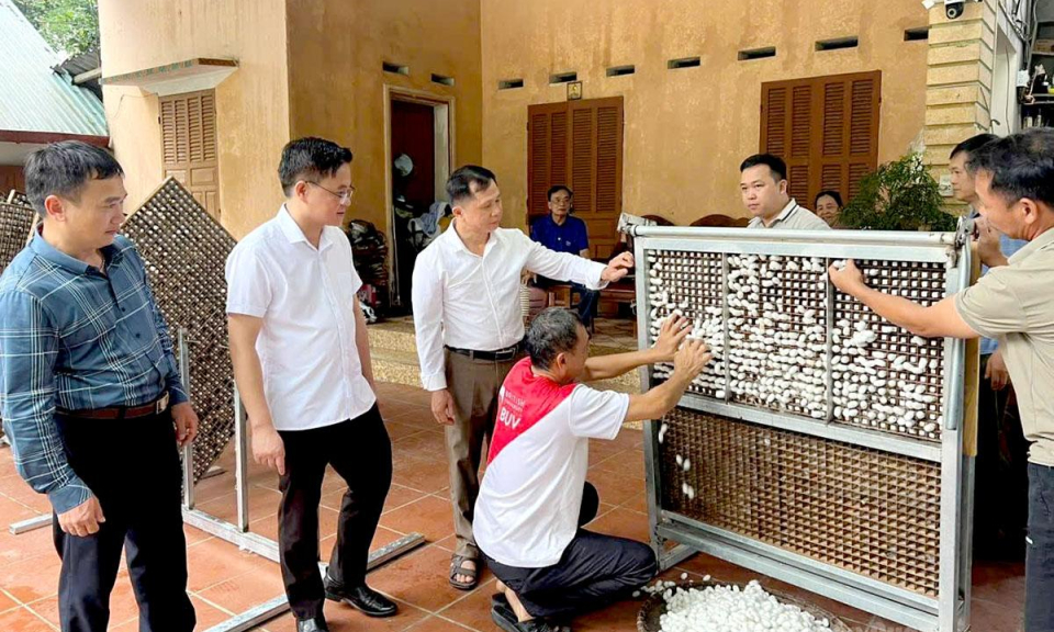 N&ocirc;ng d&acirc;n Tuy&ecirc;n Quang vững tin hướng về Đại hội