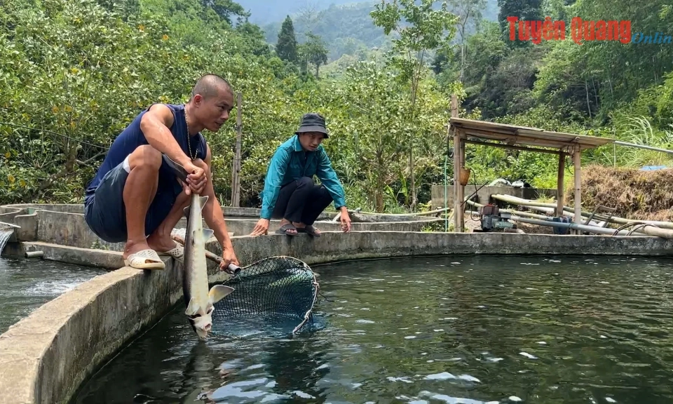 Khi chủ trương hợp l&ograve;ng d&acirc;n