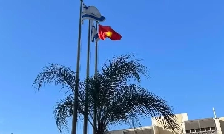 Chưa ghi nhận trường hợp c&ocirc;ng d&acirc;n Việt Nam tại Israel bị ảnh hưởng về người do t&igrave;nh h&igrave;nh an ninh diễn biến phức tạp