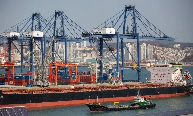 Kinh tế H&agrave;n Quốc tăng trưởng cao nhất trong hơn 5 năm