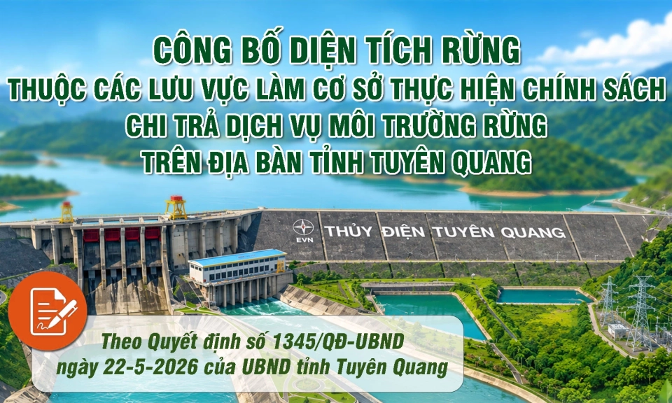 C&ocirc;ng bố diện t&iacute;ch rừng thuộc c&aacute;c lưu vực l&agrave;m cơ sở thực hiện ch&iacute;nh s&aacute;ch chi trả dịch vụ m&ocirc;i trường rừng tr&ecirc;n địa b&agrave;n tỉnh Tuy&ecirc;n Quang