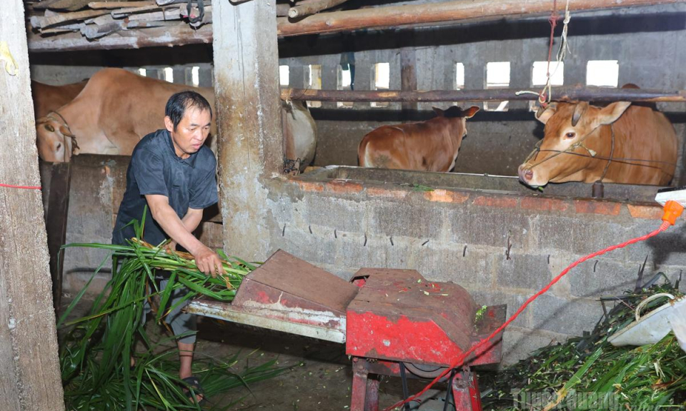 Đổi thay từ những m&ocirc; h&igrave;nh sinh kế