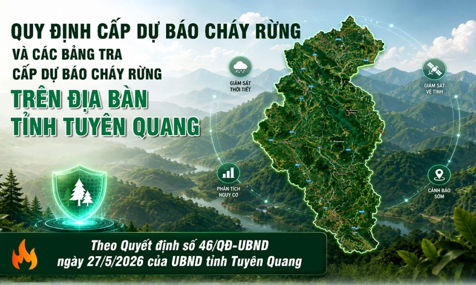 Quy định cấp dự b&aacute;o ch&aacute;y rừng v&agrave; c&aacute;c bảng tra cấp dự b&aacute;o ch&aacute;y rừng tr&ecirc;n địa b&agrave;n tỉnh Tuy&ecirc;n Quang
