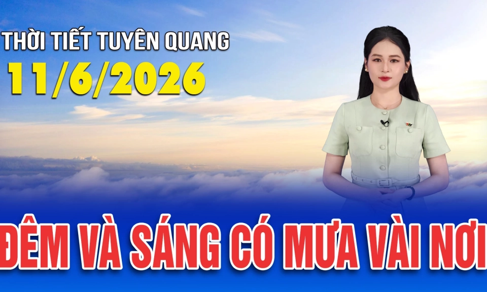 Thời tiết Tuy&ecirc;n Quang ng&agrave;y 11/6/2026