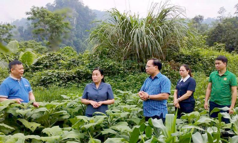 S&aacute;t d&acirc;n, đồng h&agrave;nh với Nh&acirc;n d&acirc;n