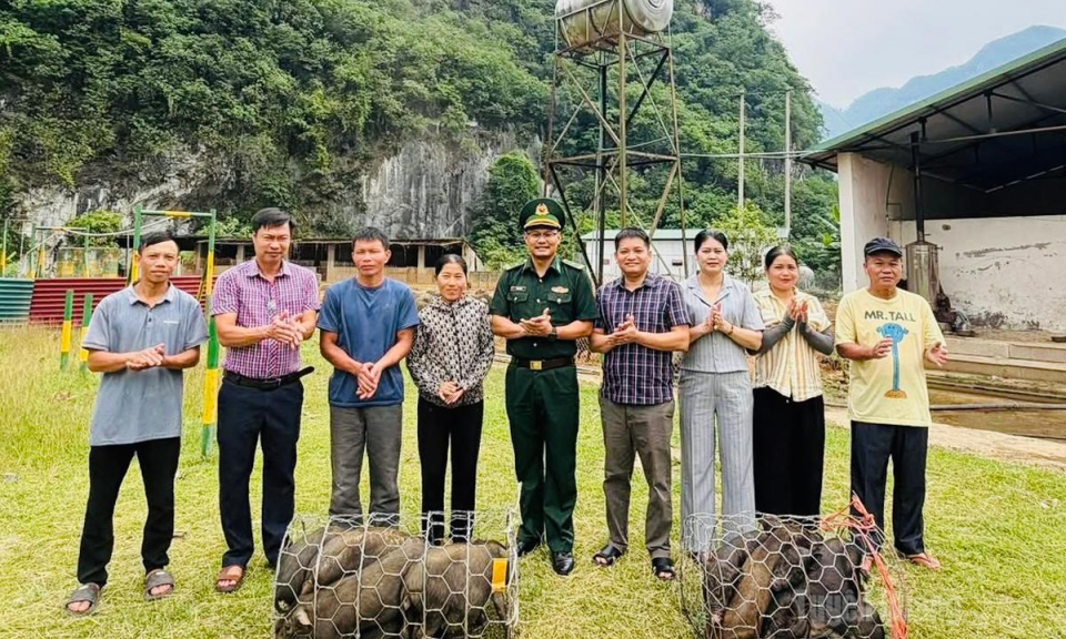 Hỗ trợ sinh kế cho phụ nữ kh&oacute; khăn khu vực bi&ecirc;n giới