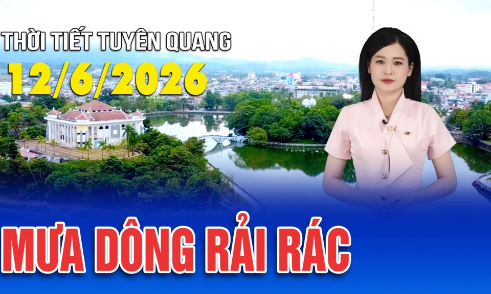 Thời tiết Tuy&ecirc;n Quang ng&agrave;y 12/6/026