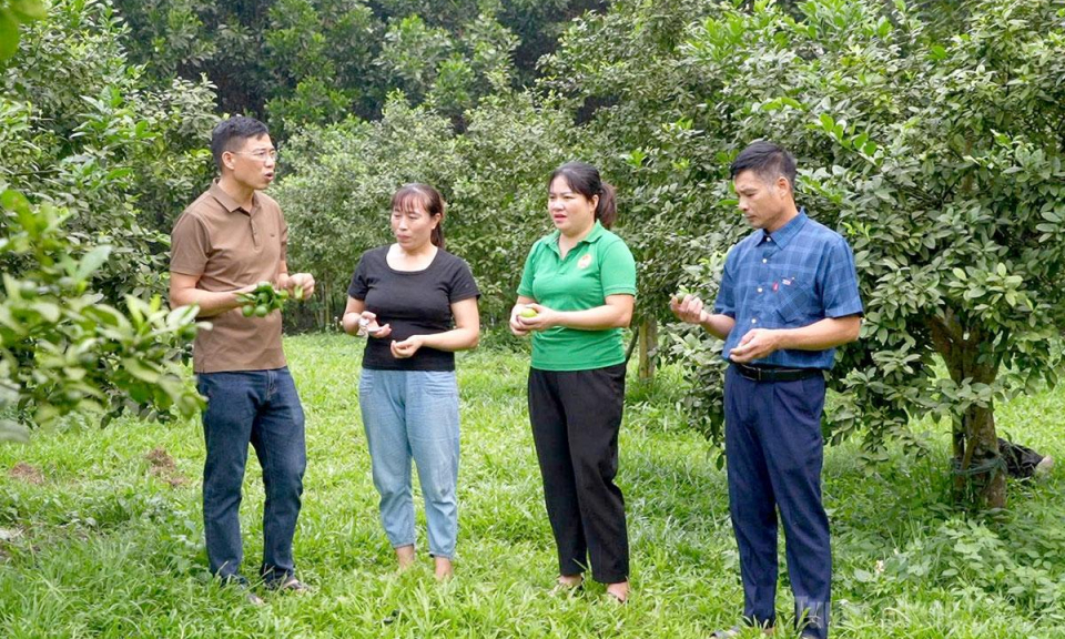 Dấu ấn c&aacute;n bộ nữ ở cơ sở
