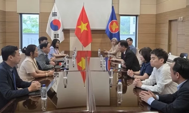 Tăng cường kết nối, mở rộng hợp t&aacute;c giữa tỉnh Gia Lai với c&aacute;c đối t&aacute;c H&agrave;n Quốc