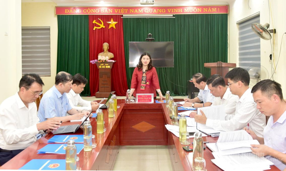 Ph&oacute; Chủ tịch UBND tỉnh Vương Ngọc H&agrave; l&agrave;m việc với Đảng ủy x&atilde; T&acirc;n Tr&agrave;o
