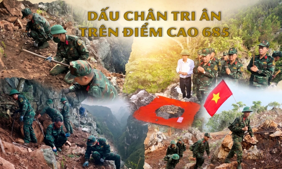 Dấu ch&acirc;n tri &acirc;n tr&ecirc;n điểm cao 685