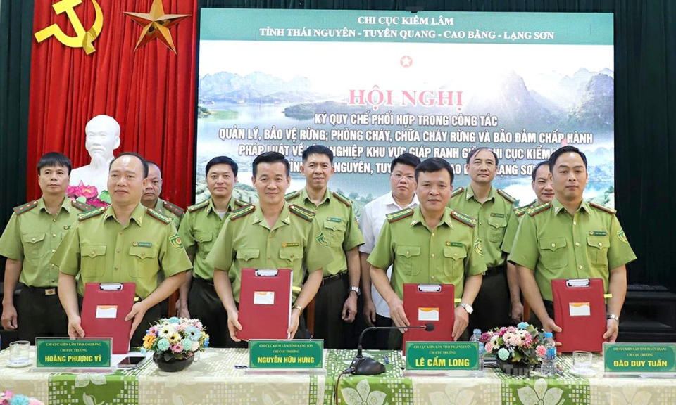 4 tỉnh k&yacute; kết quy chế phối hợp quản l&yacute;, bảo vệ rừng v&ugrave;ng gi&aacute;p ranh