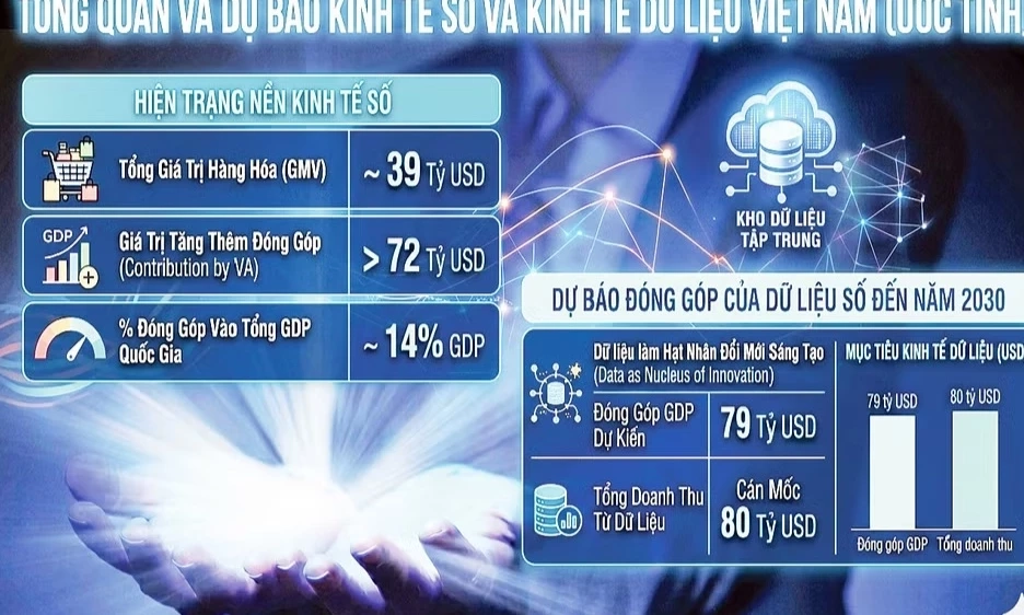 Việt Nam trong cuộc đua kinh tế dữ liệu