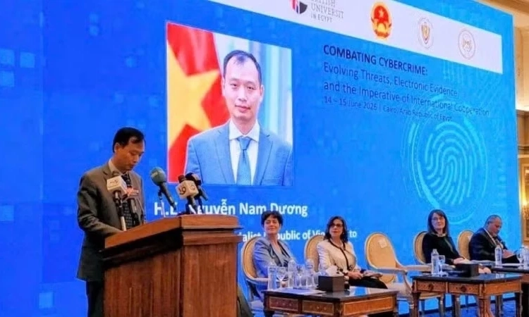 Ai Cập th&uacute;c đẩy triển khai C&ocirc;ng ước H&agrave; Nội về chống tội phạm mạng