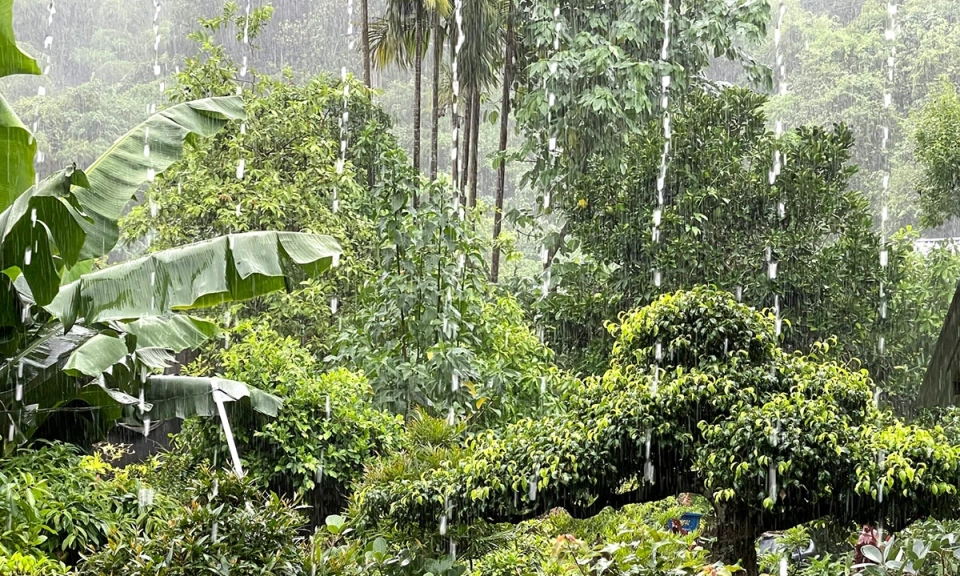 Chủ động ứng ph&oacute; với đợt mưa lớn diện rộng tr&ecirc;n địa b&agrave;n tỉnh
