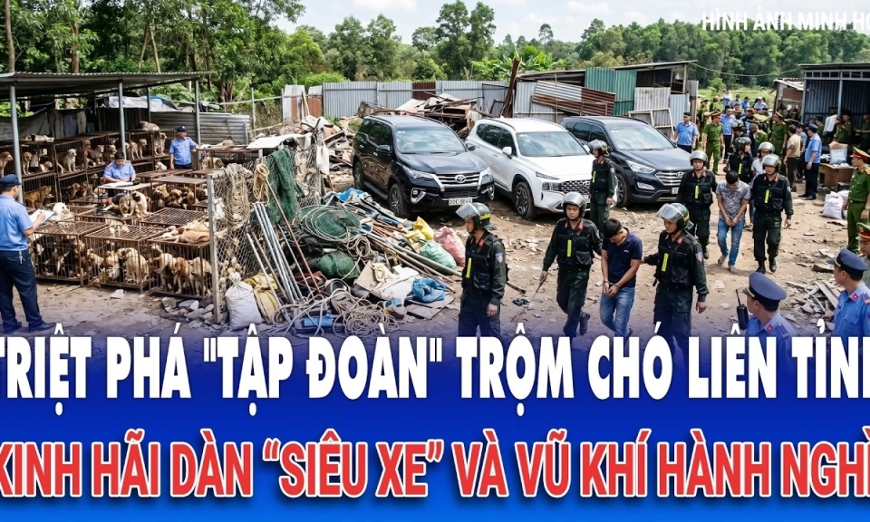 Triệt ph&aacute; "tập đo&agrave;n" trộm ch&oacute; li&ecirc;n tỉnh