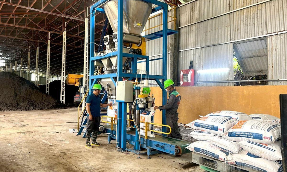 Hướng đi xanh cho ng&agrave;nh chăn nu&ocirc;i