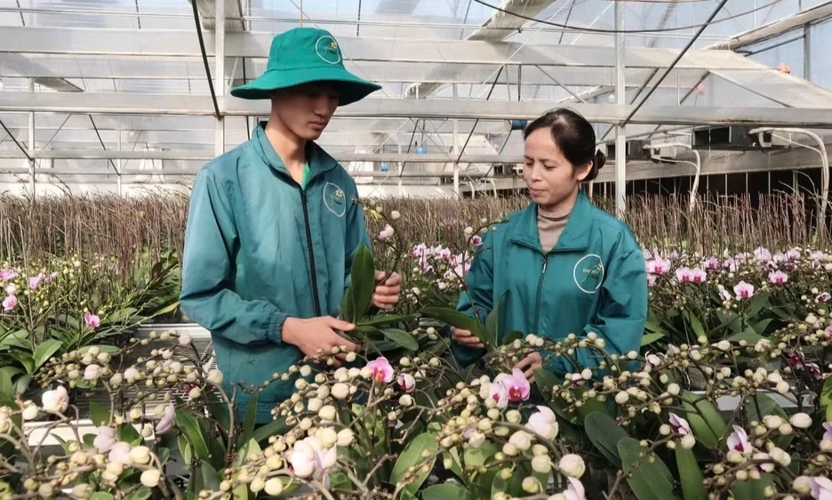 Động lực trung t&acirc;m th&uacute;c đẩy tăng trưởng