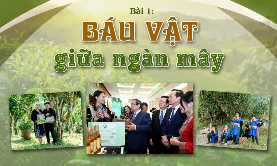 B&agrave;i 1: B&aacute;u vật giữa ng&agrave;n m&acirc;y