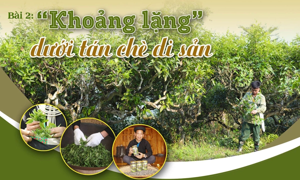 B&agrave;i 2: "Khoảng lặng" dưới t&aacute;n ch&egrave; di sản