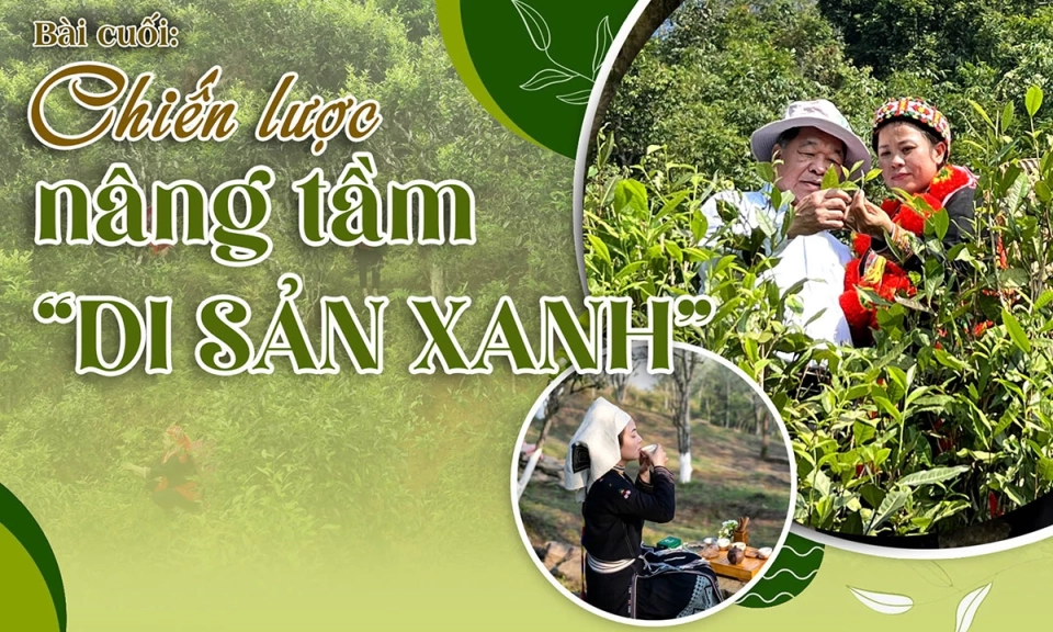 B&agrave;i cuối, Chiến lược n&acirc;ng tầm ch&egrave; Shan tuyết