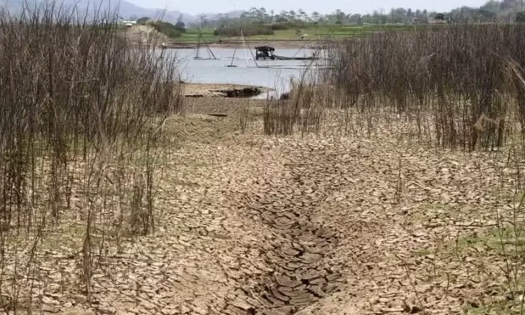 Cục Kh&iacute; tượng Australia c&aacute;nh b&aacute;o nguy cơ t&aacute;c động mạnh mẽ từ hiện tượng El Nino
