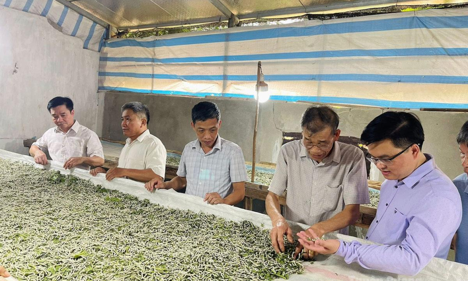 Nghị quyết "b&eacute;n rễ" từ thực tiễn
