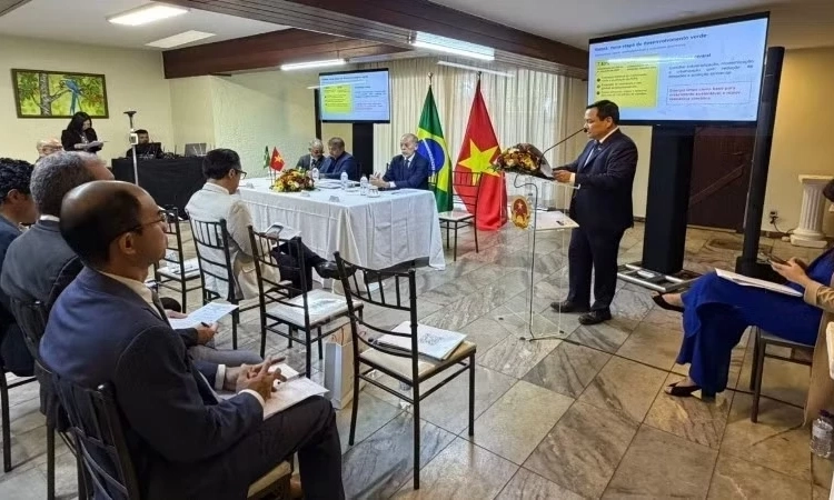 Việt Nam v&agrave; Brazil tăng cường hợp t&aacute;c trong lĩnh vực năng lượng t&aacute;i tạo