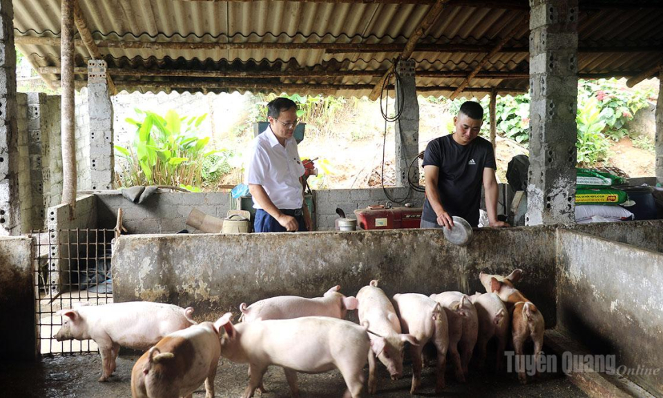 Tiếp sức ph&aacute;t triển n&ocirc;ng nghiệp, n&ocirc;ng th&ocirc;n