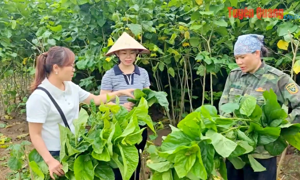 Trường Sinh thay &aacute;o mới sau một năm s&aacute;p nhập