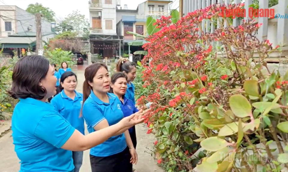 Phụ nữ Tuy&ecirc;n Quang l&agrave;m chủ kh&ocirc;ng gian xanh