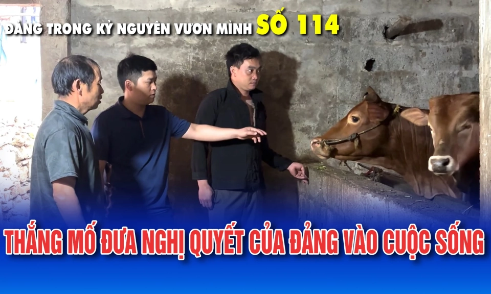 Bản tin số 114 &ldquo;Đảng trong kỷ nguy&ecirc;n vươn m&igrave;nh&rdquo;