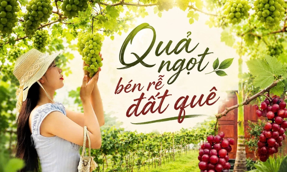 Quả ngọt b&eacute;n rễ đất qu&ecirc;