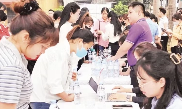 Dữ liệu li&ecirc;n th&ocirc;ng gi&uacute;p quản l&yacute; Quỹ Bảo hiểm thất nghiệp minh bạch, hiệu quả