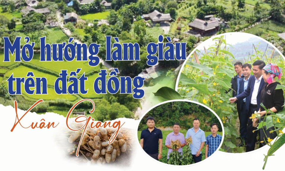 Mở hướng l&agrave;m gi&agrave;u tr&ecirc;n đất đồng Xu&acirc;n Giang