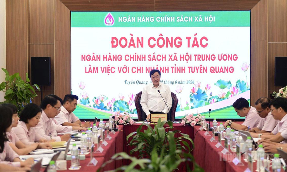 Đo&agrave;n c&ocirc;ng t&aacute;c Ng&acirc;n h&agrave;ng Ch&iacute;nh s&aacute;ch x&atilde; hội Việt Nam l&agrave;m việc với Chi nh&aacute;nh Ng&acirc;n h&agrave;ng Ch&iacute;nh s&aacute;ch x&atilde; hội tỉnh