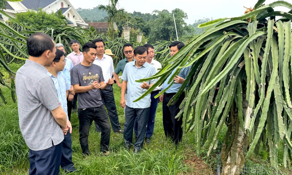Tiếp sức tăng trưởng