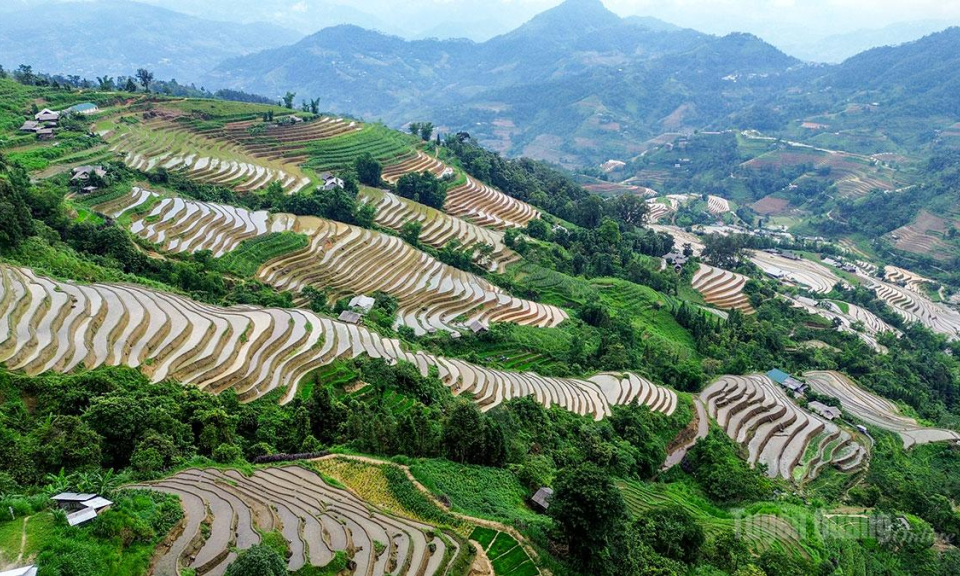 M&ugrave;a nước đổ tr&ecirc;n danh thắng ruộng bậc thang Ho&agrave;ng Su Ph&igrave;