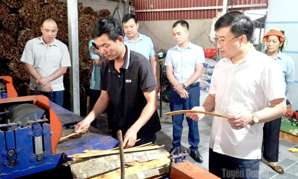 Kinh tế tập thể động lực n&acirc;ng tầm n&ocirc;ng nghiệp