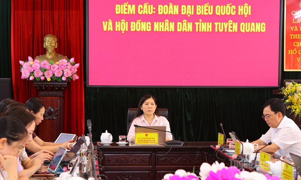 Triển khai c&aacute;c nền tảng số d&ugrave;ng chung của Quốc hội đến c&aacute;c cơ quan d&acirc;n cử địa phương