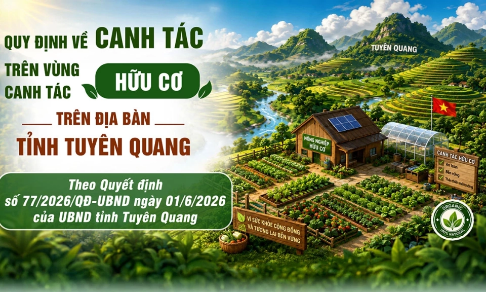 Quy định về canh t&aacute;c tr&ecirc;n v&ugrave;ng canh t&aacute;c hữu cơ tr&ecirc;n địa b&agrave;n tỉnh Tuy&ecirc;n Quang