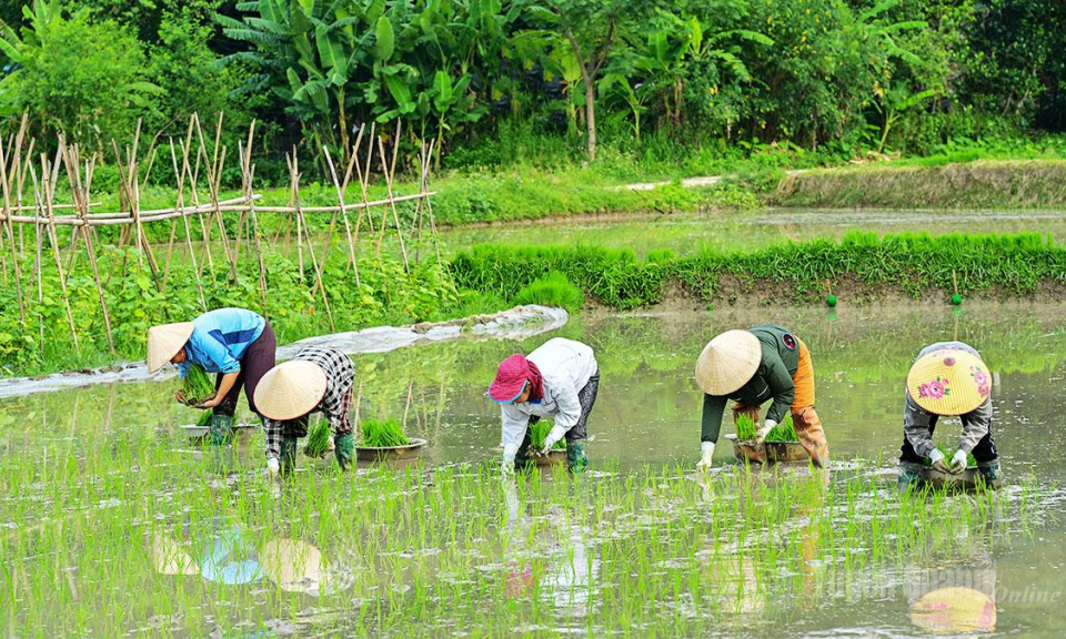 Nhịp điệu ng&agrave;y m&ugrave;a