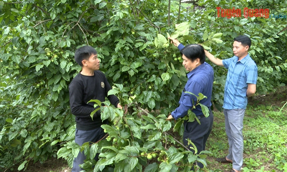 N&oacute;i d&acirc;n hiểu, l&agrave;m d&acirc;n tin