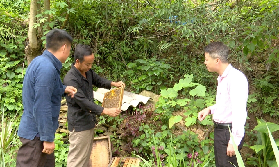 Đồng h&agrave;nh người ho&agrave;n lương t&aacute;i h&ograve;a nhập cộng đồng