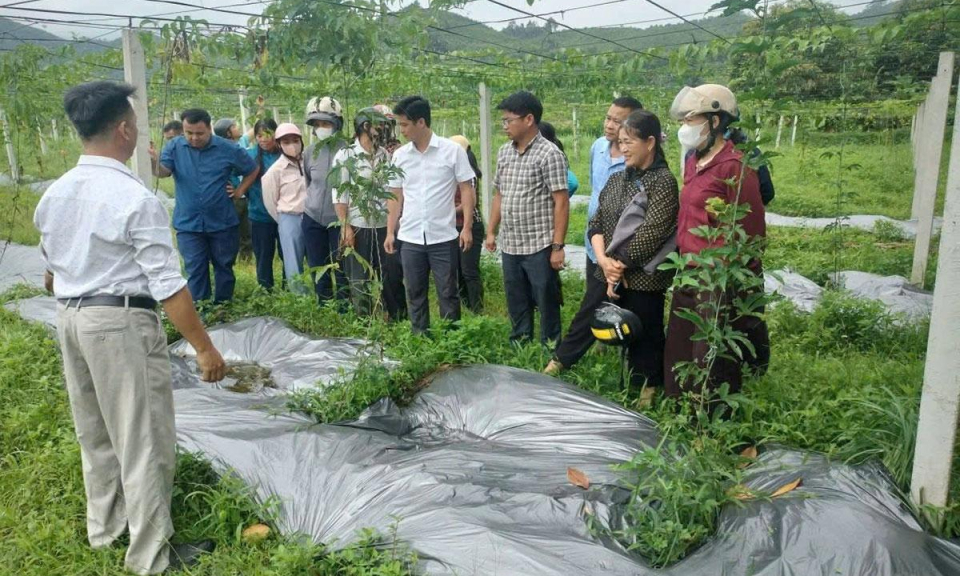 Cụ thể h&oacute;a nghị quyết th&agrave;nh h&agrave;nh động thực tiễn