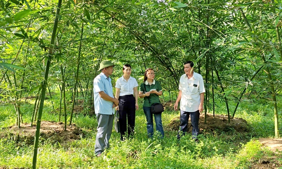 H&agrave;m Y&ecirc;n: Tinh thần học B&aacute;c ng&agrave;y c&agrave;ng đi v&agrave;o chiều s&acirc;u