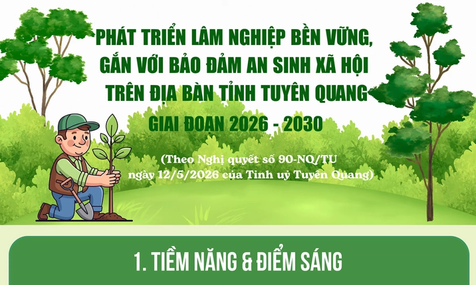 Ph&aacute;t triển l&acirc;m nghiệp bền vững, gắn với đảm bảo an sinh x&atilde; hội tr&ecirc;n địa b&agrave;n tỉnh Tuy&ecirc;n Quang, giai đoạn 2026-2030