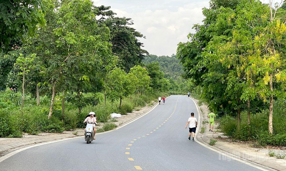 Vỉa h&egrave; đường Ph&ugrave;ng Hưng cỏ mọc um t&ugrave;m, g&acirc;y kh&oacute; cho người đi bộ